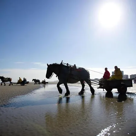 Apartmán In With Sea Views *