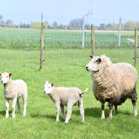 Apartmán In With Sea Views