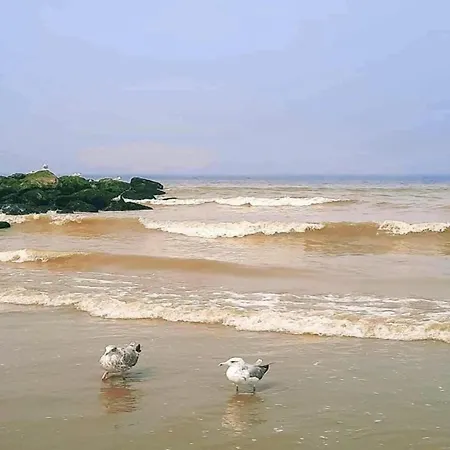 In With Sea Views