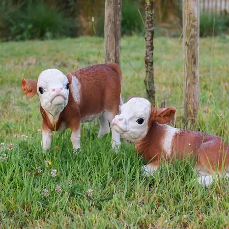 In With Sea Views Appartamento