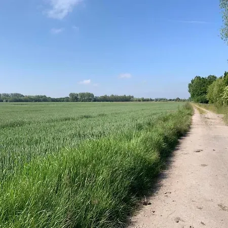 In With Sea Views Apartmán *