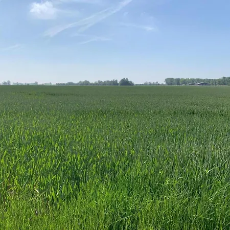 Appartamento In With Sea Views *