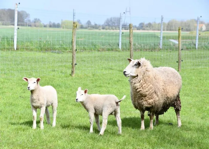 Appartamento In With Sea Views