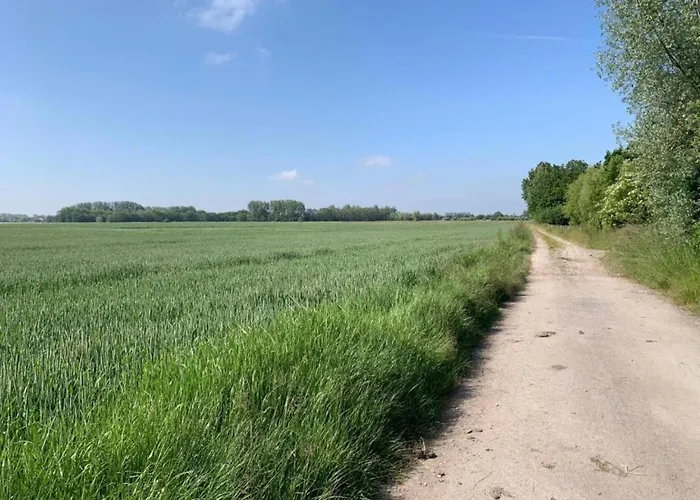 In With Sea Views Appartamento *