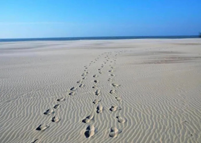 Appartamento In With Sea Views