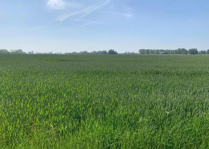 Appartamento In With Sea Views *